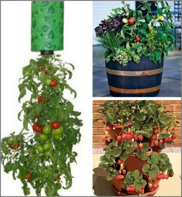 Planter Boxes Planter Boxes