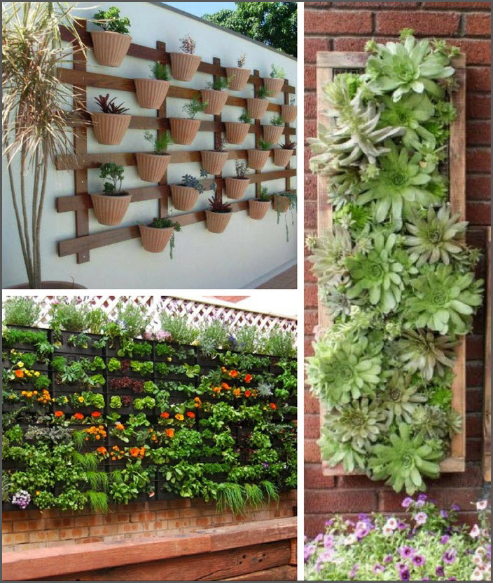Grow fresh vegetables even in a small space