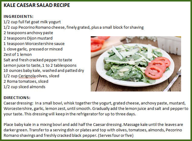 Kale Salad Recipe Kale Salad Recipe