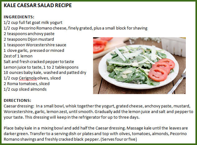 Kale Salad Recipe