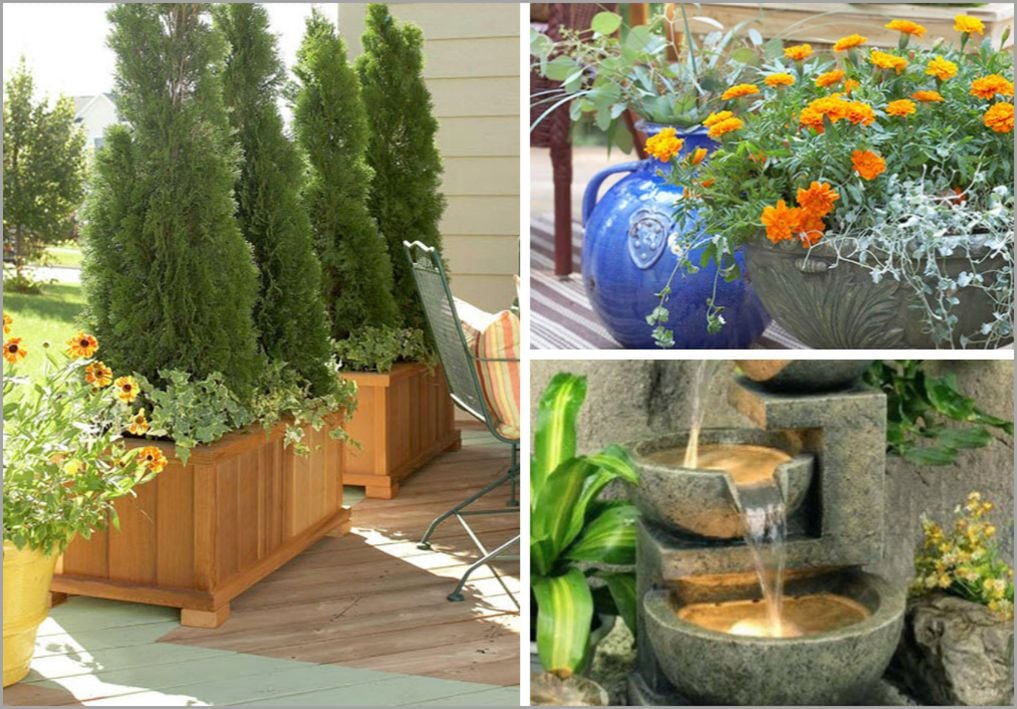 plant-decor-patio