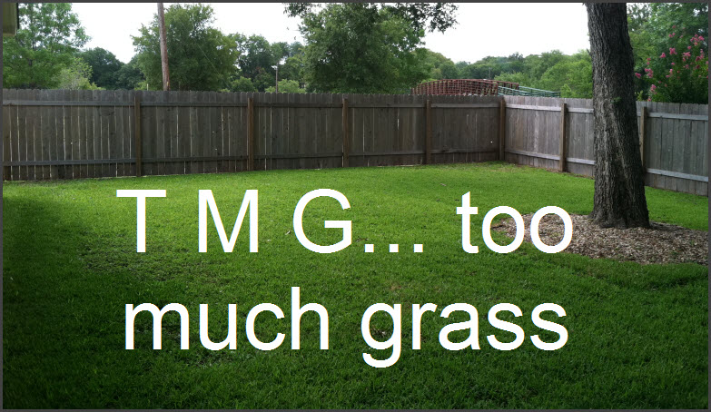 Too Much Grass  Too Much Grass