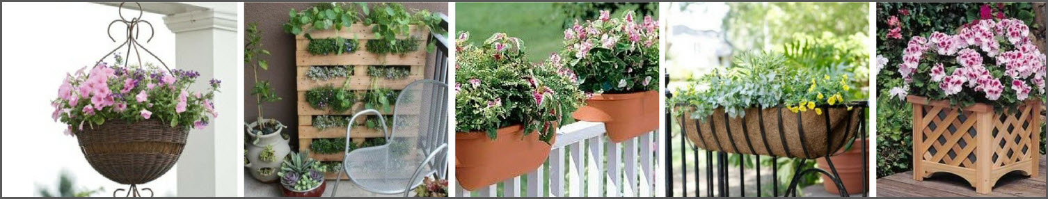 Vertical gardening is made for small patios and balconies