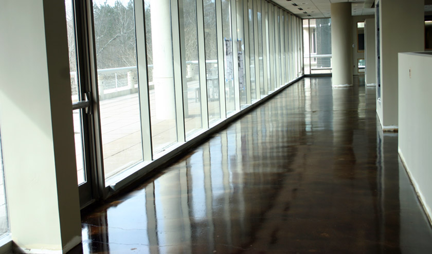 Stained commercial interior office in walnut color